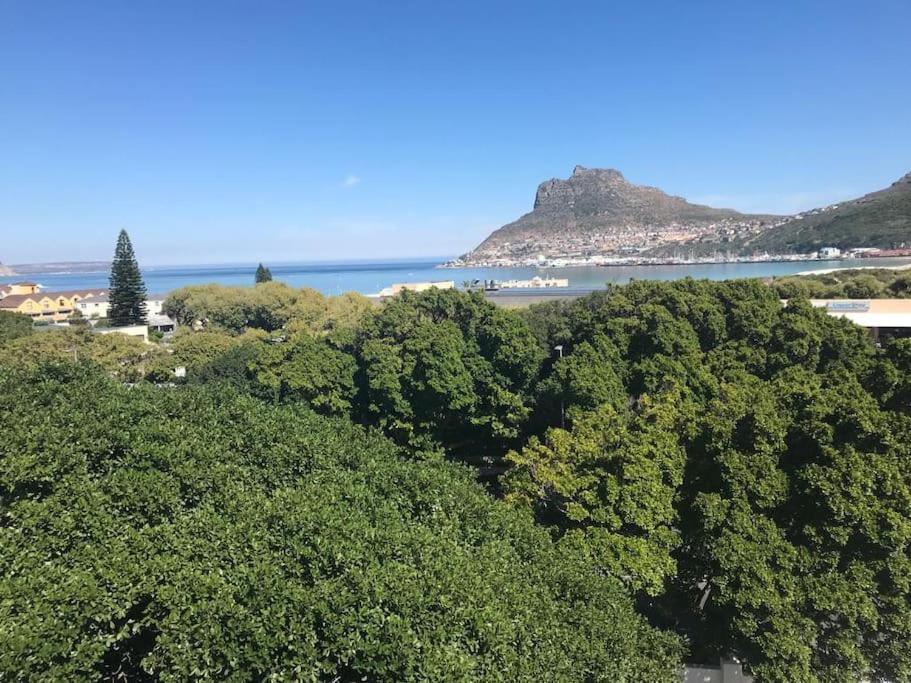 Chapman'S Peak, Loft Mit Sea-Und Mountainview Apartment Хаут Бей Екстериор снимка