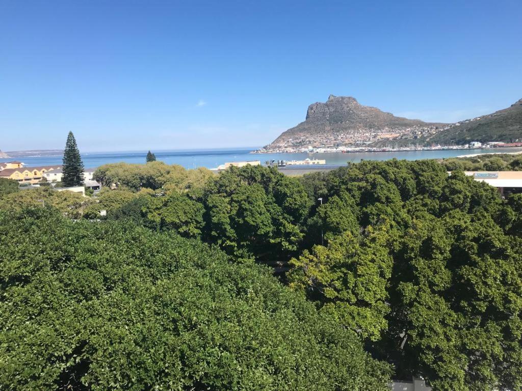 Chapman'S Peak, Loft Mit Sea-Und Mountainview Apartment Хаут Бей Екстериор снимка